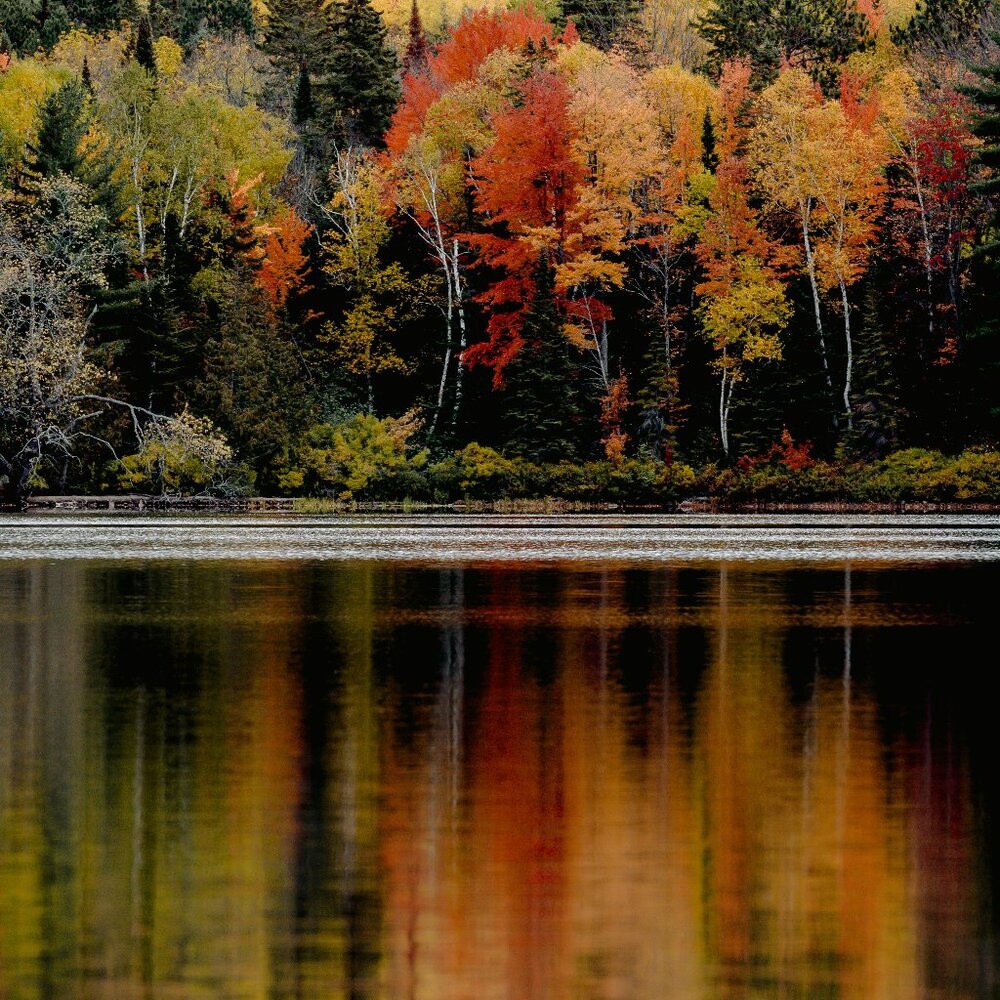 Meet your Posher, Lorrie